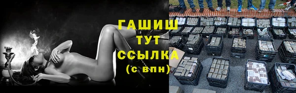 индика Вязьма