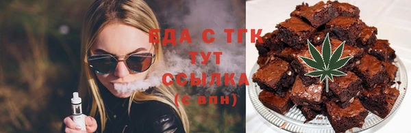 индика Вязьма